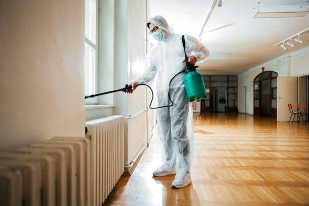 Professional Pest Control in Strafford, MO